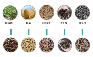 新的生物質(zhì)發(fā)電廠(chǎng)凸顯日本木屑顆粒機(jī)木屑顆粒市場(chǎng)日益增長(zhǎng)