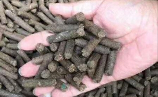 水果渣越來(lái)越受歡迎，因?yàn)樗某霈F(xiàn)—生物質(zhì)顆粒機(jī)設(shè)備