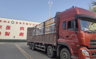 忙碌的五月，忙碌的發(fā)貨，金格瑞顆粒機(jī)生產(chǎn)線發(fā)往全國(guó)各地