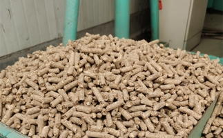 在燃燒時，水分大的生物質(zhì)顆粒會出現(xiàn)哪些問題？