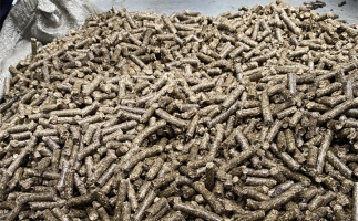 為什么很多人想了解木屑顆粒機(jī)加工的燃料顆粒作用？