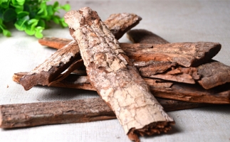 木材加工廠的廢棄物刨花能夠用來做什么？鋸末顆粒機告訴你