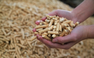 黟縣洪星鄉(xiāng)：“鋸末顆粒機的小顆?！睋Q來綠富雙贏