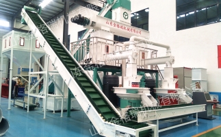 開鋸末顆粒機顆粒廠需要怎么做？