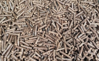 鋸末顆粒機(jī)加工的顆粒燃料價(jià)格主要受哪幾個(gè)方面的影響？