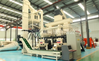 辦木屑顆粒燃料廠需要準備哪些工作？山東顆粒機廠家和您說說